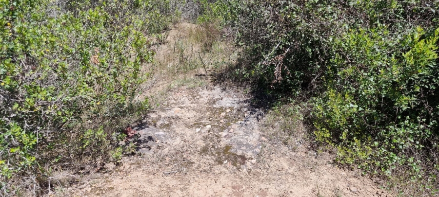  Bedroom Property for Sale in Knysna Rural Western Cape